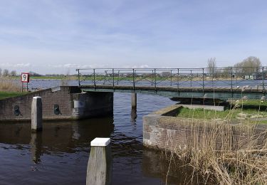 Tocht Te voet Weesp - Rondje Naardermeer - Photo