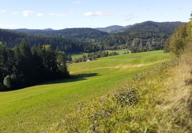 Tour Wandern Entre-deux-Monts - entre-deux monts bis - Photo