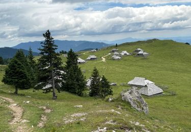 Randonnée Marche Kamnik - Velika Planina - Photo