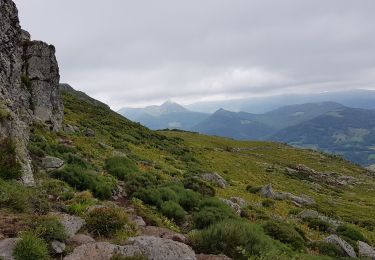 Trail Walking Saint-Projet-de-Salers - Col de Legal vers le Puy de Chavaroche - Photo
