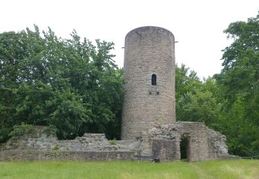 Tour Zu Fuß Bad Soden-Salmünster - Stolzenberger Ritterblick ( Spessartfährten ) - Photo