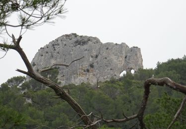 Tocht Te voet Saint-Rémy-de-Provence - ST REMY - Photo