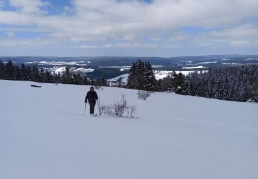 Tocht Ski randonnée Longevilles-Mont-d'Or - 20-03-21 SRN avec Evasions Nordiques - Photo