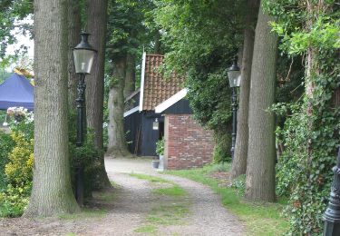 Trail On foot Hof van Twente - WNW Twente - Benteleres - rode route - Photo