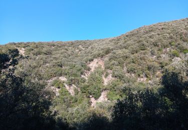 Trail Walking Ansignan - sentier des dolmens en fenouillèdes - Photo
