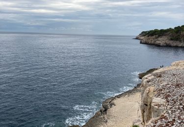 Trail Walking Cassis - Sentier Petit Prince Cassis  - Photo