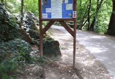 Trail Walking Durbuy - Barvaux _ Marche privée  - Photo