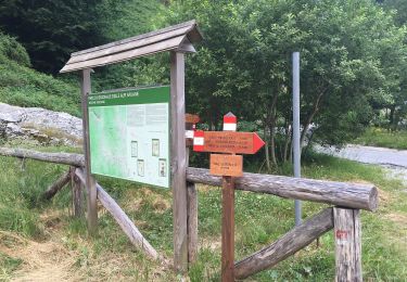 Trail On foot Minucciano - Sentiero attrezzato 