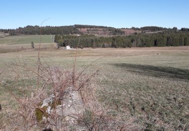 Tocht Mountainbike Usson-en-Forez - fraisse fr - Photo