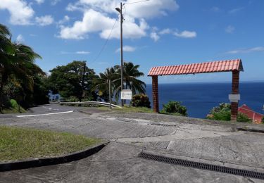 Tocht Stappen Fonds-Saint-Denis - Place Julpin lotissement St James  - Photo