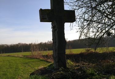 Randonnée A pied Incourt - Promenade d'Happeau - Photo