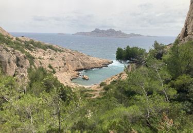 Tocht Stappen Marseille - Marseillveyre  - Photo