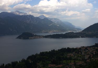 Randonnée A pied Colonno - Greenway del Lago di Como - Photo