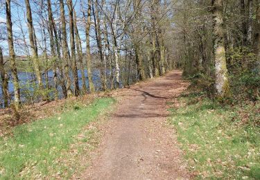 Trail Walking Razès - Saint-Pardoux - Tour du Lac - 7,5 km - Photo