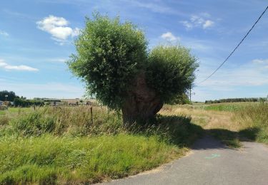 Tocht Stappen Banteux - canal de saint Quentin / Banteux - Vendhuile ( tunnel de Riqueval ). - Photo