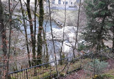 Tour Wandern Bourg-de-Sirod - les pertes de l'Ain - Photo