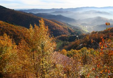 Tour Wandern Pont-de-Labeaume - 2022-09-20_11h09m21_Ste Marguerite-Aubignas 18km.gpx (1).xml - Photo