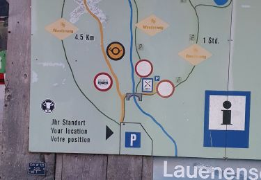 Randonnée Marche Lauenen - lauenen - Photo