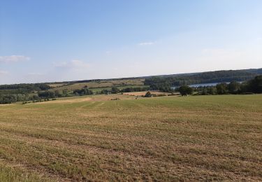 Tocht Mountainbike Froidchapelle - Plate taille  - Photo