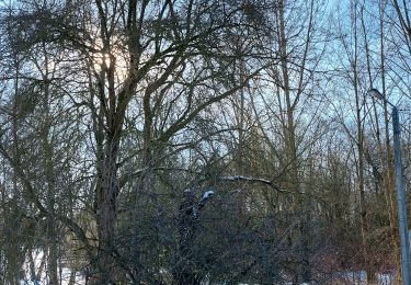 Tour Wandern Fleurus - forêt des loisirs Fleurus - Photo