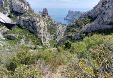 Trail Walking Marseille - bec de sormiou-baumettes - Photo