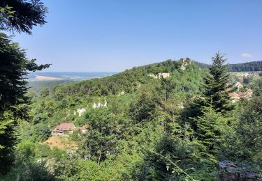 Trail Walking Ferrette - Ferrette ,château, grotte des nains,rossberg - Photo