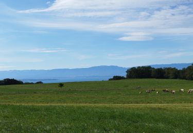 Tour Wandern Féternes - feternes - Photo