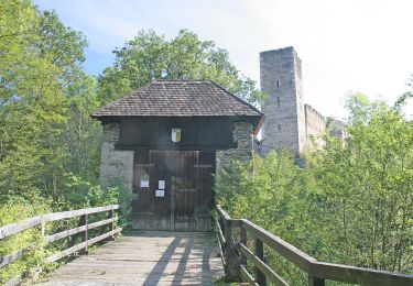 Trail On foot Gemeinde Hardegg - Merkersdorfer Rundwanderweg - Photo