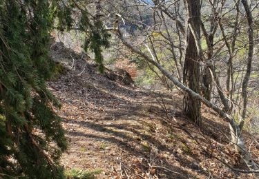 Trail Walking Furmeyer - Col des Traverses par le sentier de chamois - Photo