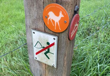 Trail Walking Kalmthout - Kalmthoutse Heide  - Photo