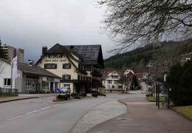 Percorso A piedi Baiersbronn - Obertal - Zuflucht - Photo