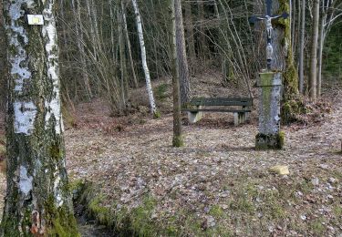 Trail On foot Pegnitz - Trockau Rundwanderweg Nr. 2 - Photo