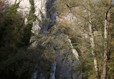 Randonnée Marche Dinant - Falmagne - Walzin - Furfooz - Photo