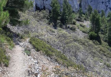 Trail Walking Marseille - Mont Puget par aiguille Guillemin, retour par le Vallon Mestrallet - Photo