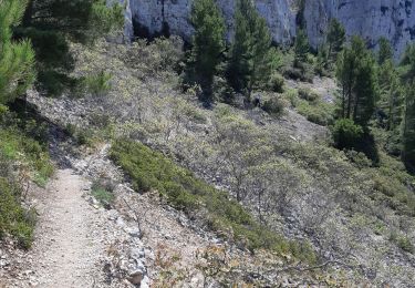 Tour Wandern Marseille - Mont Puget par aiguille Guillemin, retour par le Vallon Mestrallet - Photo