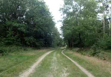 Trail On foot Enge-Sande - Petersburger Weg - Photo