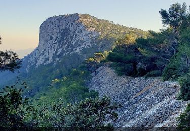 Tocht Stappen Toulon - versant nord faron - Photo