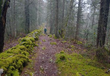 Trail Walking Villers-le-Lac - gr5 2 - Photo
