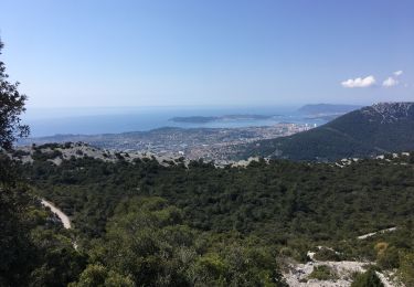 Trail Walking La Farlède - Le Coudon depuis la Farlède (Variante) - Photo