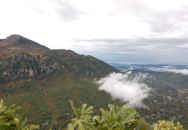 Excursión A pie Gourdon - Plateau de Cavillore - Photo