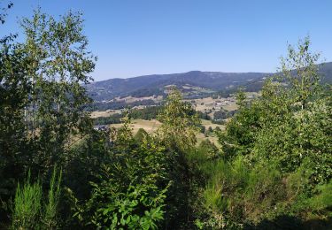 Trail Walking Lapoutroie - La tour du Faudet - Photo