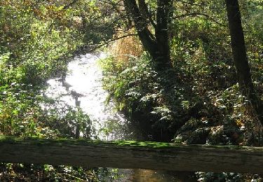 Percorso A piedi Wenzendorf - Wander-Tour Este Ost - Photo