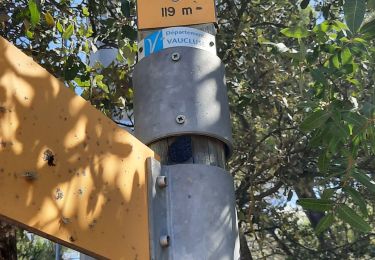 Randonnée Marche Saumane-de-Vaucluse - sauma.e ecole les fayardes - Photo