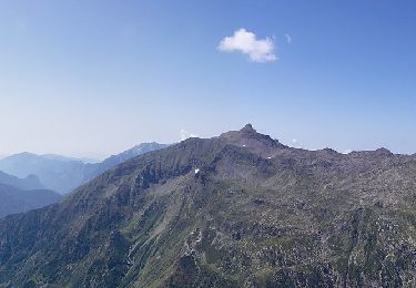 Tour Zu Fuß Valbondione - (SI D22S) Rifugio Antonio Curò - Rifugio Nani Tagliaferri al Passo di Venano - Photo