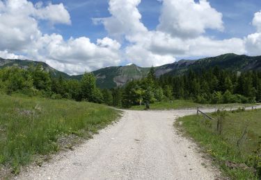 Trail Walking Boulc - 2018-06-09 Diois - La Pare - Photo