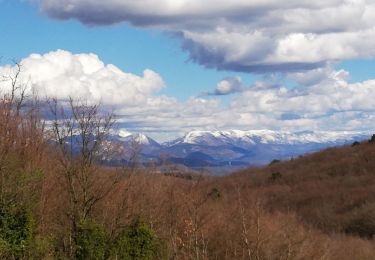 Trail Walking Marsanne - 20190404marsannes - Photo