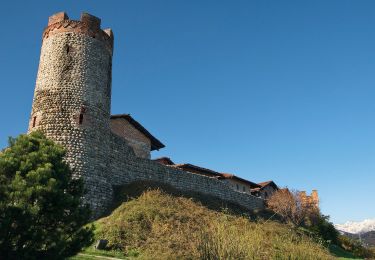 Tour Zu Fuß Candelo - IT-T02 - Photo