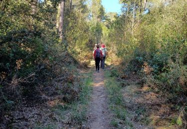 Excursión Senderismo Saint-Rémy-de-Provence - 2024-03-16 Mac des peitoo - Photo