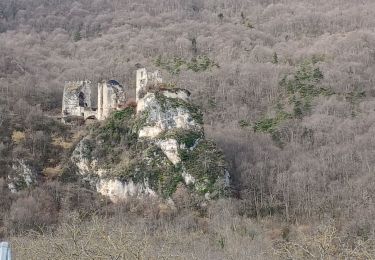 Tour Wandern La Motte-Fanjas - Château de Rochechinard  - Photo