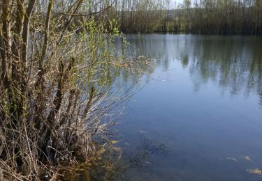 Trail Walking Champigny - 31 mars 2021  - Photo